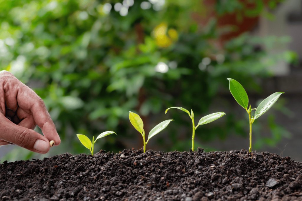 Agroecology in Practice: Sustainable Solutions for Smallholder Farmers